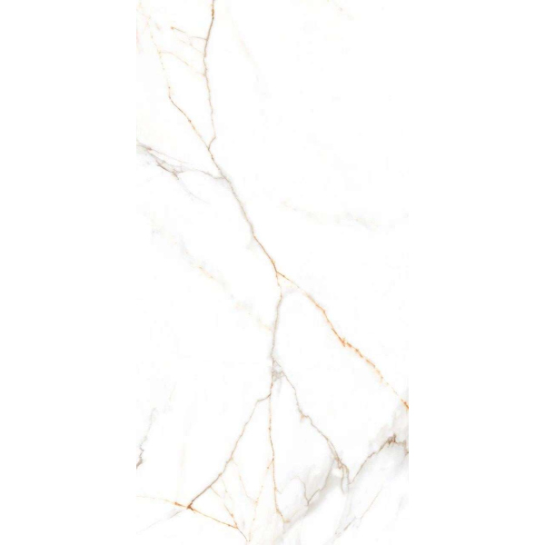 Керамическая плитка AUSTRAIN 60х120 BELLEZA